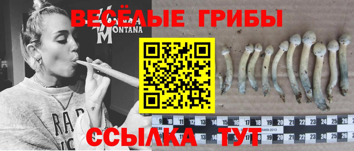 Галлюциногенные грибы мицелий Новочебоксарск