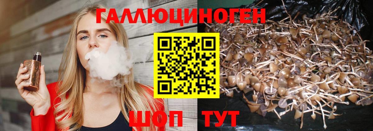 Галлюциногенные грибы Magic Shrooms  Вход с VPN  Новочебоксарск  Галлюциногенные грибы мицелий 